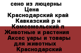 сено из люцерны  › Цена ­ 50 - Краснодарский край, Кавказский р-н, Комсомольский п. Животные и растения » Аксесcуары и товары для животных   . Краснодарский край